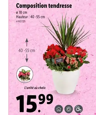 Lidl Composition tendresse offre