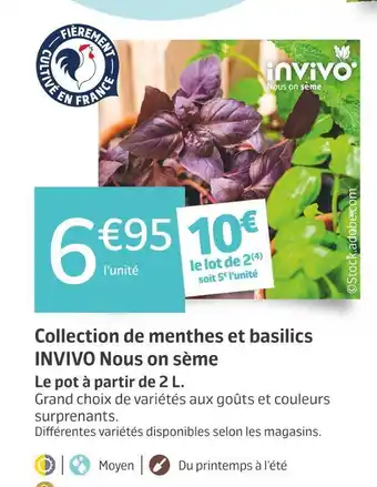 Jardiland Invivo nous on sème collection de menthes et basilics offre