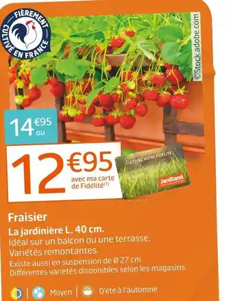 Fraisier
