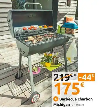 Barbecue charbon michigan