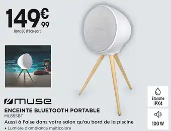 Pulsat Muse enceinte bluetooth portable offre