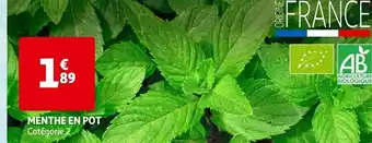 Auchan MENTHE EN POT Catégorie 2 offre