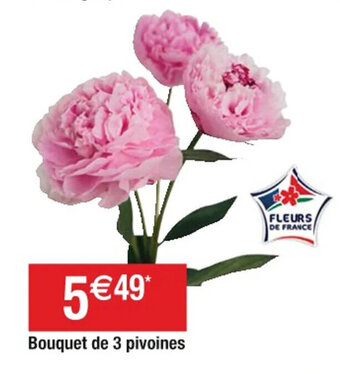Cora x Carrefour Bouquet de 3 pivoines offre