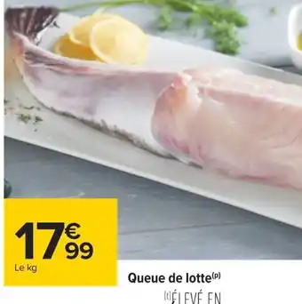 Queue de lotte(P) (ÉLEVÉ EN