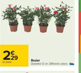Carrefour Rosier offre