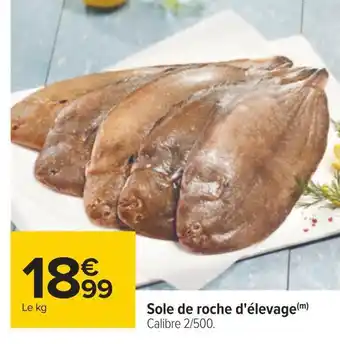 Carrefour Sole de roche d'élevage offre