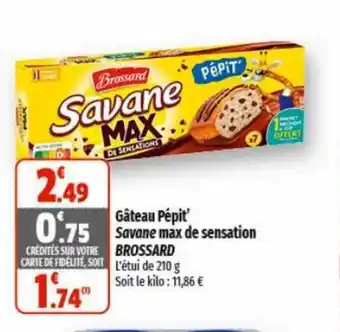 Coccinelle Express Gâteau Pepit' Savane max de sensation BROSSARD offre
