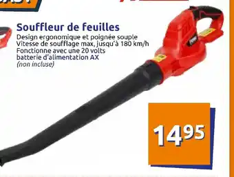 Action Souffleur de feuilles offre