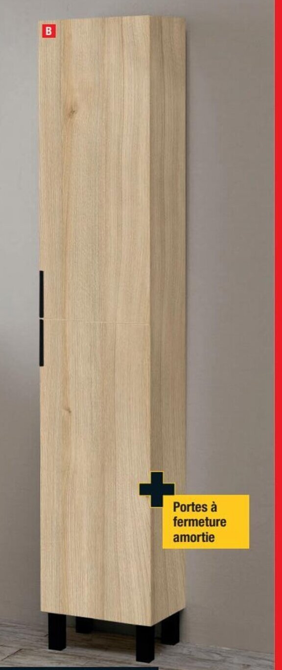 Brico Dépôt B COLONNE "DENVER" Dim : H. 189 x L. 35 x P. 30 cm. offre