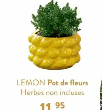 LEMON Pot de fleurs Herbes non incluses