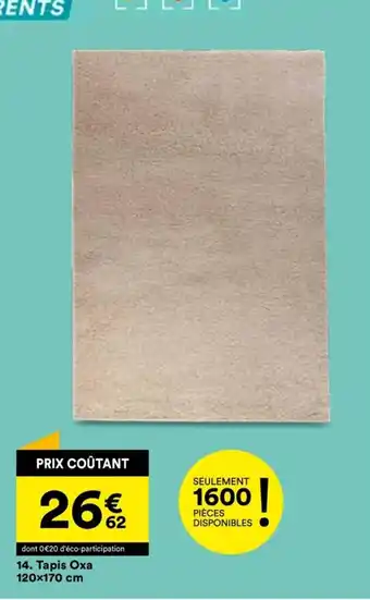 BUT 14. Tapis Oxa 120x170 cm offre