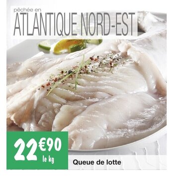 Migros Queue De Lotte offre