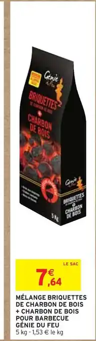 Génie du feu mélange briquettes de charbon de bois + charbon de bois pour barbecue