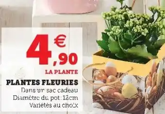 Super U Plantes Fleuries offre