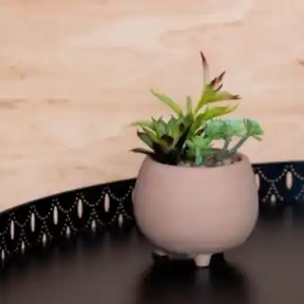 b&m Plantes artificielles en pot offre