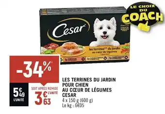 Petit Casino Cesar les terrines du jardin pour chien au cœur de légumes offre