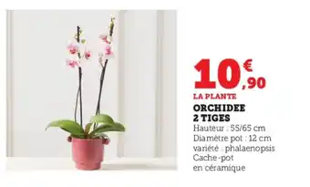 Super U ORCHIDEE 2 TIGES offre