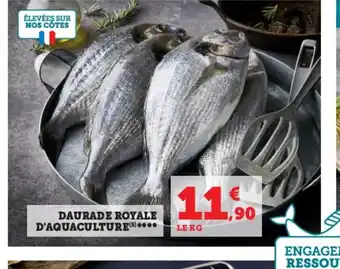 Super U DAURADE ROYALE D'AQUACULTURE (5)**** offre