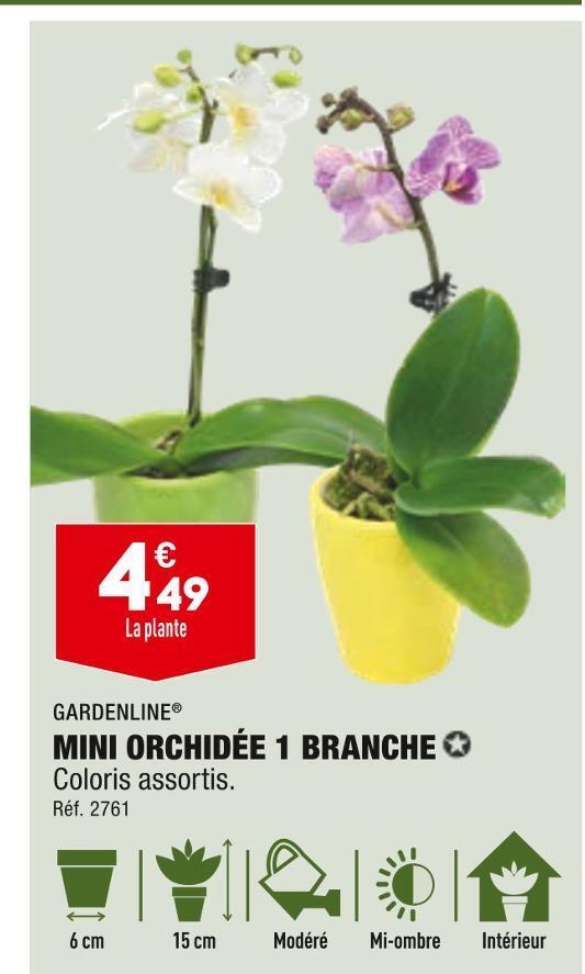 Promo Gardenline mini orchidée 1 branche chez ALDI