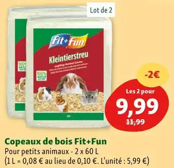 Fit+fun copeaux de bois