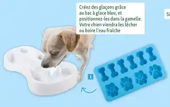 Maxi Zoo Hamiform gamelle fraîcheur glacée offre