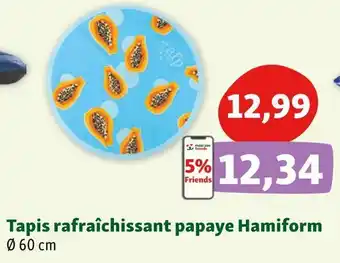 Maxi Zoo Hamiform tapis rafraîchissant papaye offre