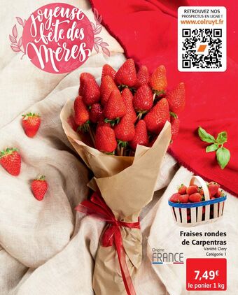 Fraises rondes de carpentras