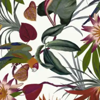 b&m Papier peint parrot offre