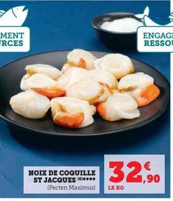 Super U Noix de coquille st jacques offre