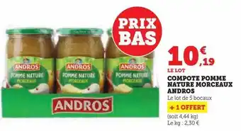 Super U Compote pomme nature morceaux andros offre