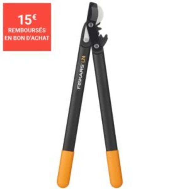 Gamm vert Coupe-branches fiskars powergear l74 m à crémaillère et à crochet offre