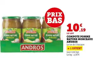 Super U Andros compote pomme nature morceaux offre