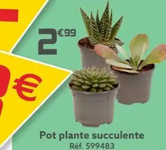 Gifi Pot plante succulente offre