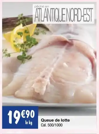 Migros Queues de lotte offre