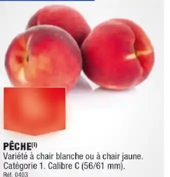 ALDI PÊCHE offre