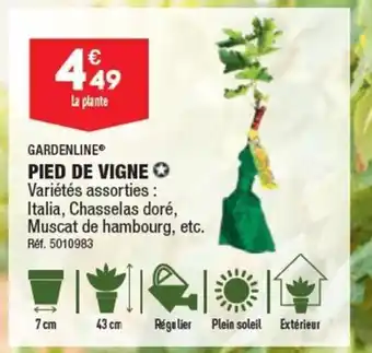 ALDI GARDENLINEⓇ PIED DE VIGNE offre