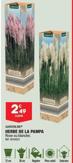 ALDI HERBE DE LA PAMPA Rose ou blanche. Réf. 5010623 offre