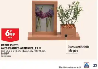 ALDI CADRE PHOTO AVEC PLANTES ARTIFICIELLES offre