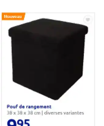 Action Pouf de rangement offre