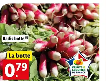Lidl Radis botte (1) Catégorie 1 offre