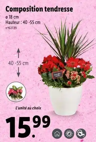 Lidl Bouquet de fleurs offre