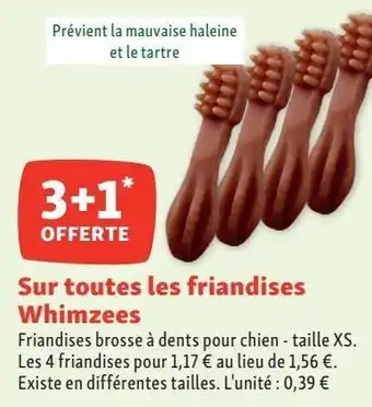 Maxi Zoo Snacks offre