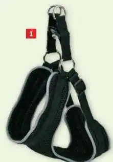 Maxi Zoo Harnais pour chiens offre