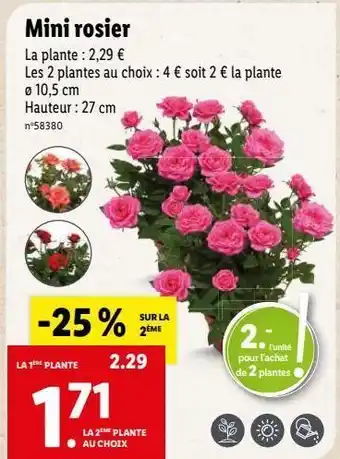 Lidl Rosiers offre