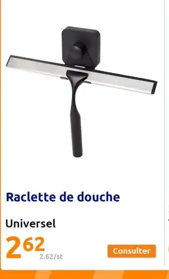 Action Raclette de douche offre