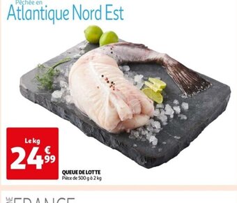 Auchan QUEUE DE LOTTE offre