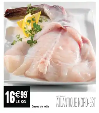 Cora x Carrefour Queue de lotte offre