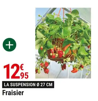 Fraisier