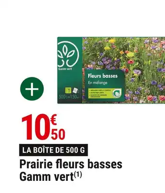 Gamm vert Prairie fleurs basses gamm vert offre