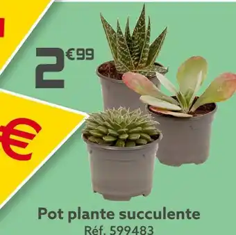 Gifi Pot plante succulente offre